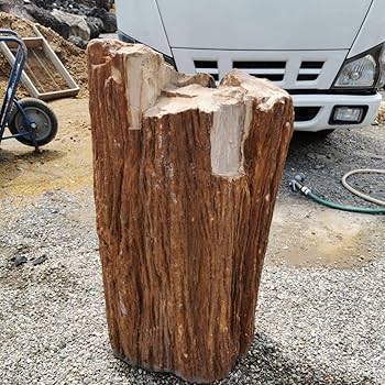 インドネシア産　珪化木　222キロ　木化石　庭石　石　鑑賞石　置物　オブジェ インドネシア産珪化木222キロ木化石庭石石鑑賞石置物オブジェ